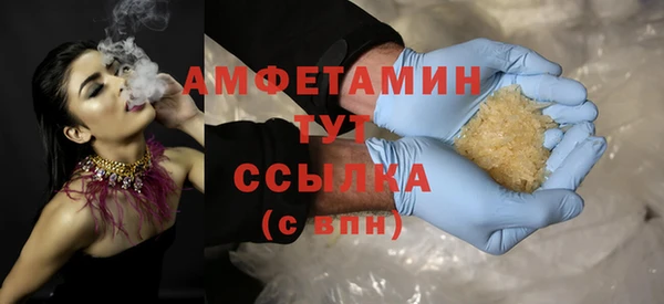 гидра Арсеньев
