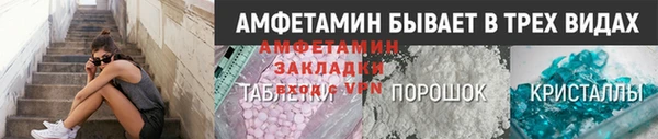 гидра Арсеньев