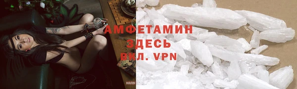 гидра Аркадак
