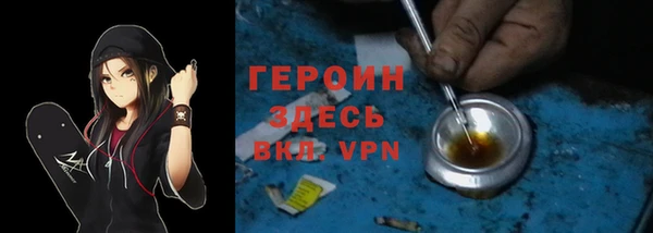 гидра Арсеньев