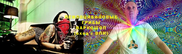 гидра Аркадак