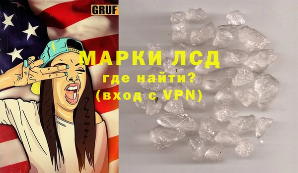 гидра Аркадак