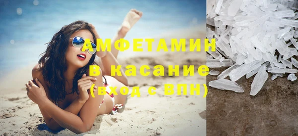 гидра Аркадак