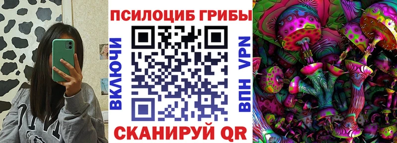 Галлюциногенные грибы Cubensis  Купить  Мензелинск 